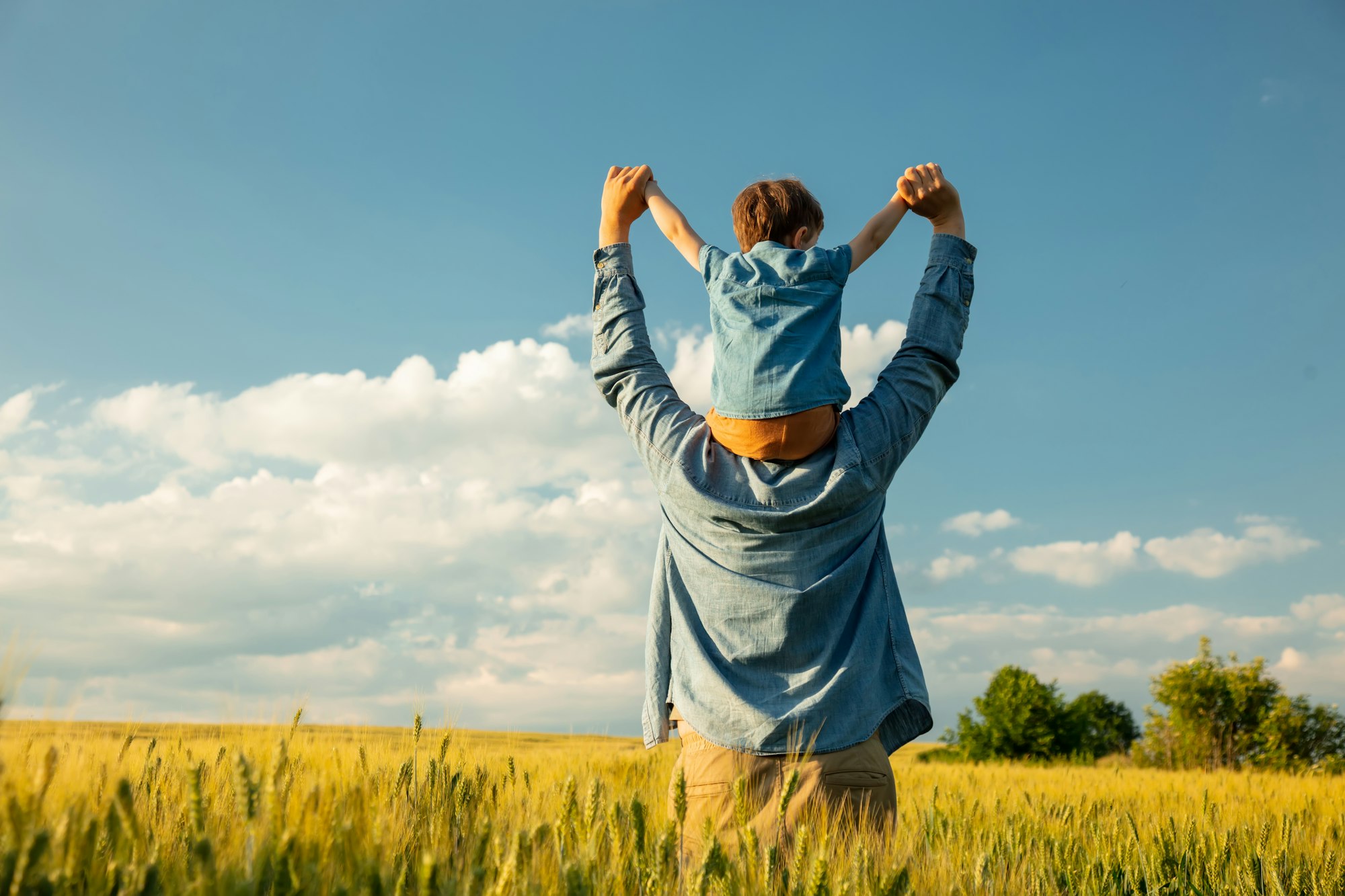 father and son in wheat field, child sitting on his fathers shoulders